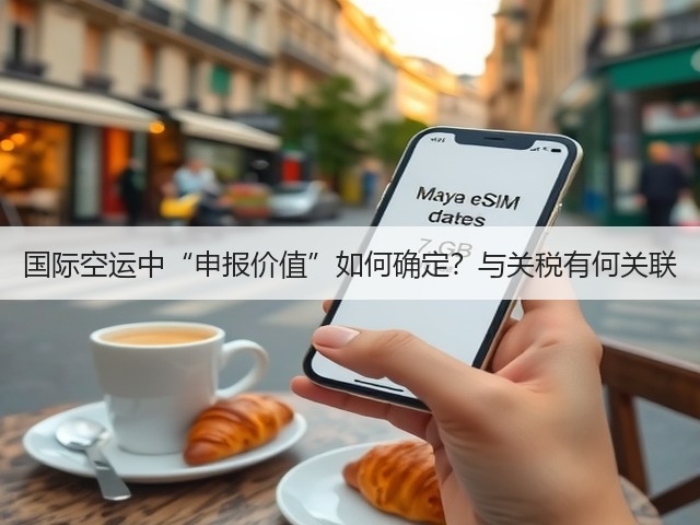 国际空运中“申报价值”如何确定?与关税有何关联(图2) 国际空运中“申报价值”如何确定?与关税有何关联(图2)