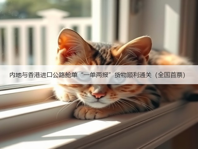 内地与香港进口公路舱单“一单两报”货物顺利通关（全国首票）(图3)