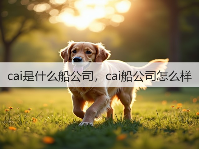 cai是什么船公司,cai船公司怎么样(图2) cai是什么船公司,cai船公司怎么样(图2)
