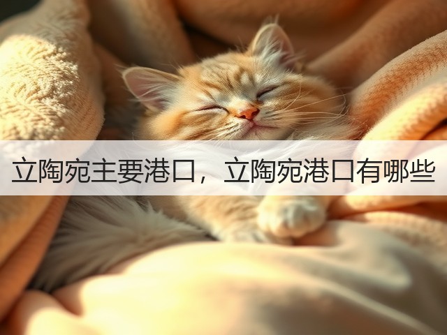立陶宛主要港口,立陶宛港口有哪些(图2) 立陶宛主要港口,立陶宛港口有哪些(图2)