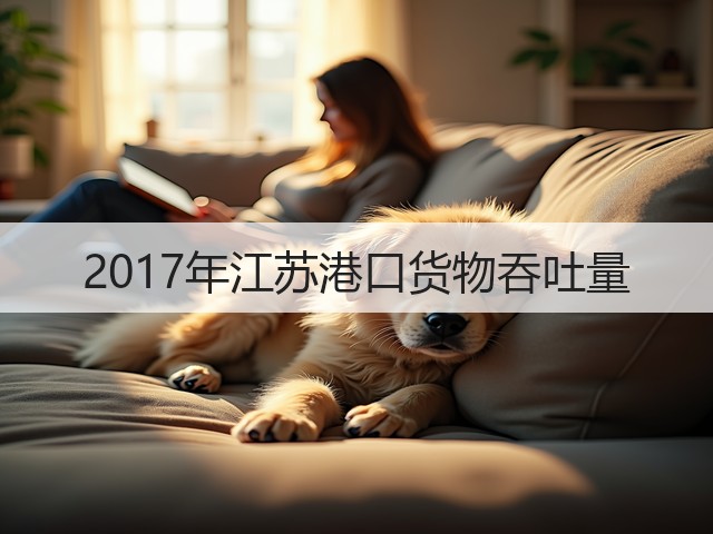 2017年江苏港口货物吞吐量(图3) 2017年江苏港口货物吞吐量(图3)