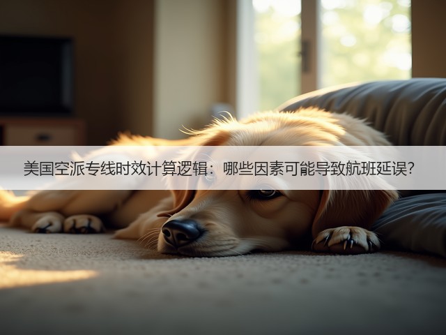 美国空派专线时效计算逻辑:哪些因素可能导致航班延误?(图1) 美国空派专线时效计算逻辑:哪些因素可能导致航班延误?(图1)