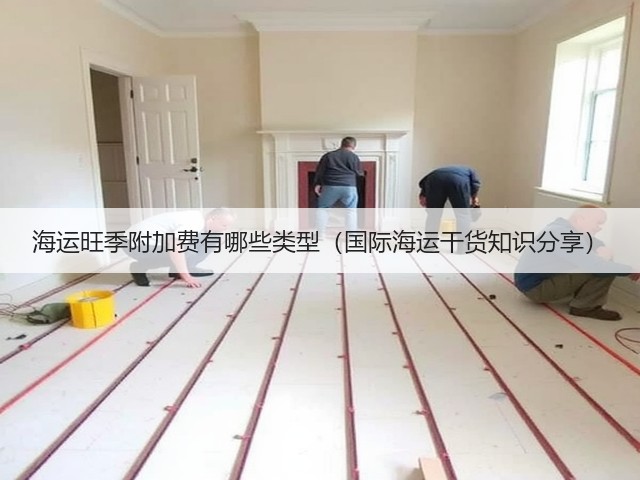 海运旺季附加费有哪些类型(国际海运干货知识分享)(图1) 海运旺季附加费有哪些类型(国际海运干货知识分享)(图1)