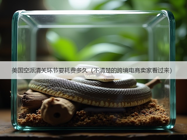 美国空派清关环节要耗费多久（不清楚的跨境电商卖家看过来）(图3)