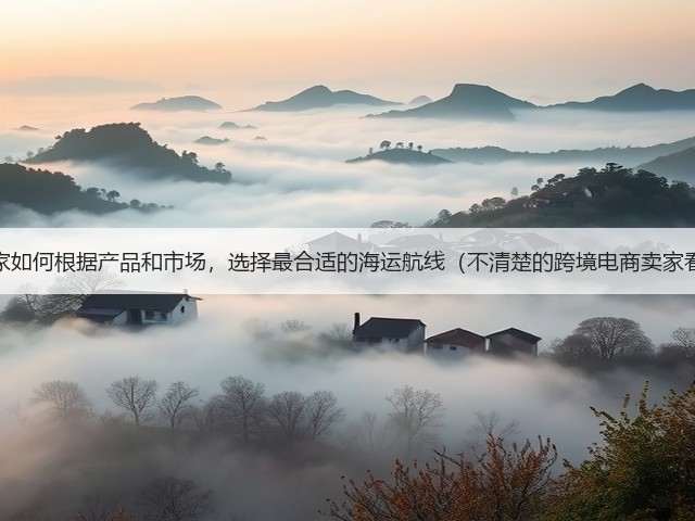 跨境卖家如何根据产品和市场，选择最合适的海运航线（不清楚的跨境电商卖家看过来）(图3)