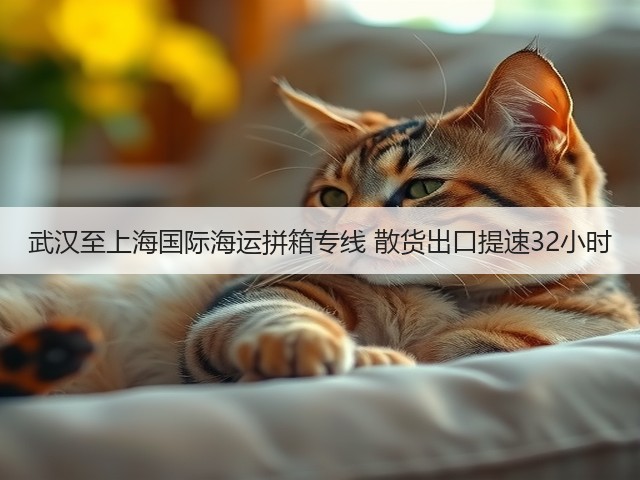 武汉至上海国际海运拼箱专线 散货出口提速32小时(图3)