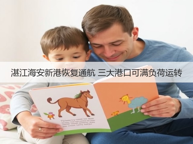 湛江海安新港恢复通航 三大港口可满负荷运转(图1)