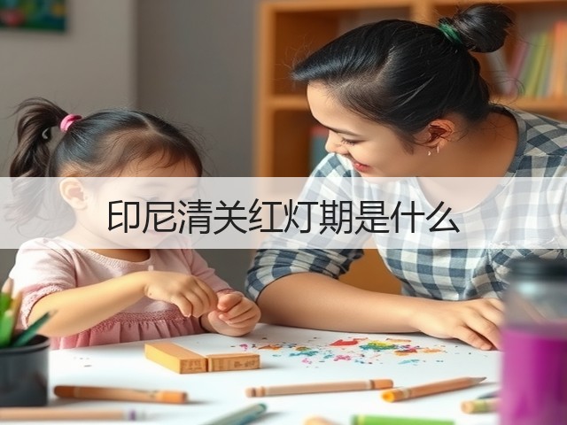 印尼清关红灯期是什么(图3)