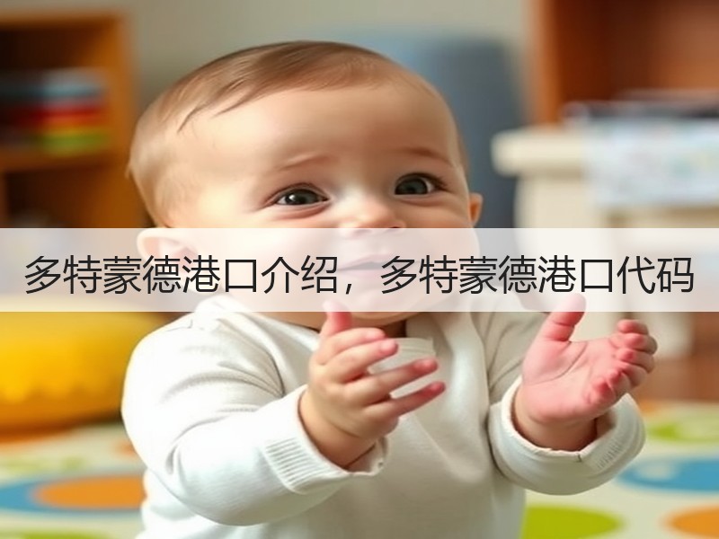 多特蒙德港口介绍，多特蒙德港口代码