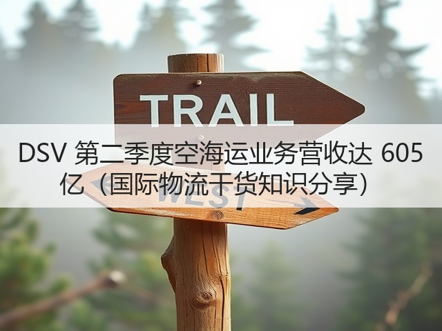 DSV 第二季度空海运业务营收达 605 亿(国际物流干货知识分享)(图3) DSV 第二季度空海运业务营收达 605 亿(国际物流干货知识分享)(图3)