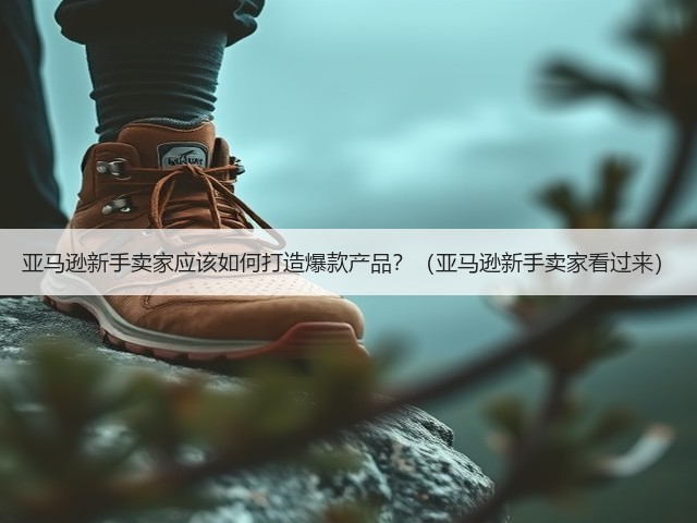 亚马逊新手卖家应该如何打造爆款产品?(亚马逊新手卖家看过来)(图3) 亚马逊新手卖家应该如何打造爆款产品?(亚马逊新手卖家看过来)(图3)