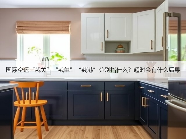 国际空运“截关”“截单”“截港”分别指什么?超时会有什么后果(图3) 国际空运“截关”“截单”“截港”分别指什么?超时会有什么后果(图3)