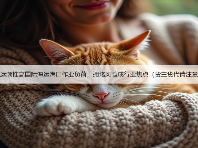 抢运潮推高国际海运港口作业负荷,拥堵风险成行业焦点(货主货代请注意)(图3) 抢运潮推高国际海运港口作业负荷,拥堵风险成行业焦点(货主货代请注意)(图3)
