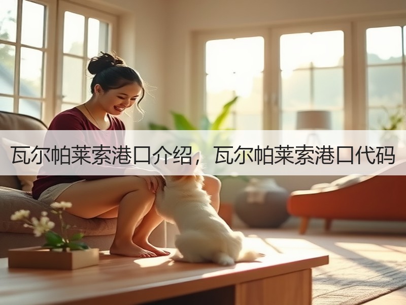 瓦尔帕莱索港口介绍，瓦尔帕莱索港口代码
