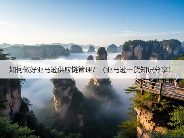 如何做好亚马逊供应链管理?(亚马逊干货知识分享)(图3) 如何做好亚马逊供应链管理?(亚马逊干货知识分享)(图3)