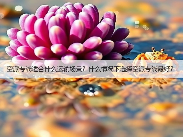 空派专线适合什么运输场景?什么情况下选择空派专线最好?(图2) 空派专线适合什么运输场景?什么情况下选择空派专线最好?(图2)