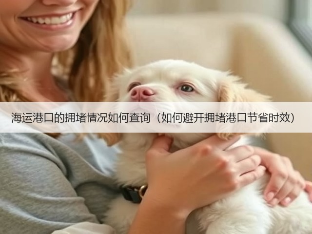海运港口的拥堵情况如何查询（如何避开拥堵港口节省时效）(图2)