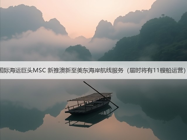 国际海运巨头MSC 新推澳新至美东海岸航线服务（届时将有11艘船运营）(图3)