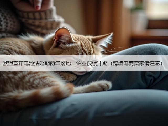 欧盟宣布电池法延期两年落地，企业获缓冲期（跨境电商卖家请注意）(图1)
