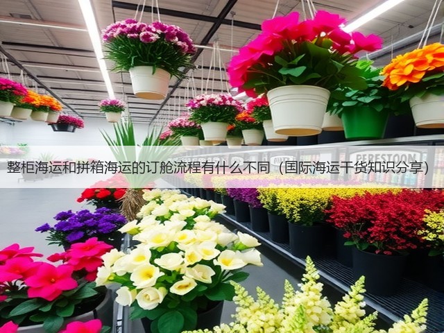 整柜海运和拼箱海运的订舱流程有什么不同(国际海运干货知识分享)(图1) 整柜海运和拼箱海运的订舱流程有什么不同(国际海运干货知识分享)(图1)