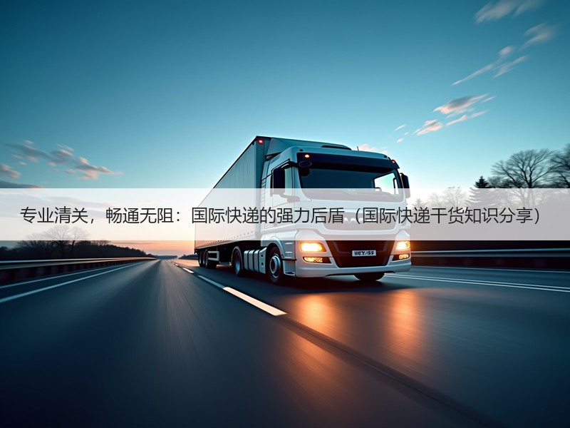 专业清关，畅通无阻：国际快递的强力后盾（国际快递干货知识分享）