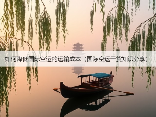 如何降低国际空运的运输成本(国际空运干货知识分享)(图2) 如何降低国际空运的运输成本(国际空运干货知识分享)(图2)