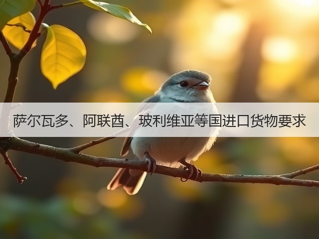 萨尔瓦多、阿联酋、玻利维亚等国进口货物要求(图2) 萨尔瓦多、阿联酋、玻利维亚等国进口货物要求(图2)