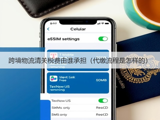 跨境物流清关税费由谁承担(代缴流程是怎样的)(图1) 跨境物流清关税费由谁承担(代缴流程是怎样的)(图1)