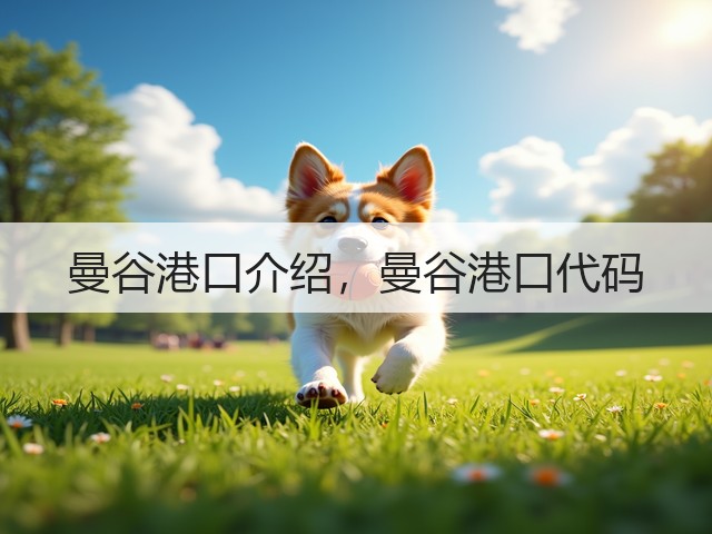 曼谷港口介绍，曼谷港口代码(图2)