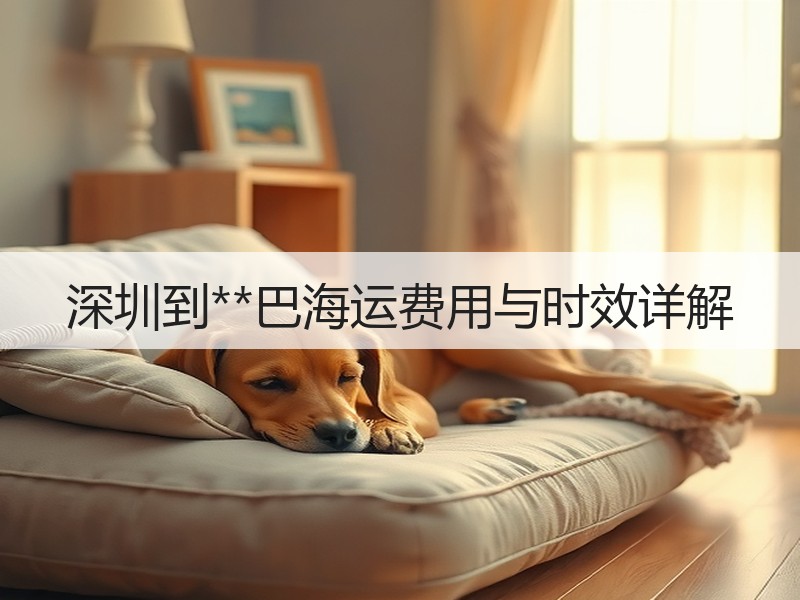 深圳到**巴海运费用与时效详解 深圳到**巴海运费用与时效详解