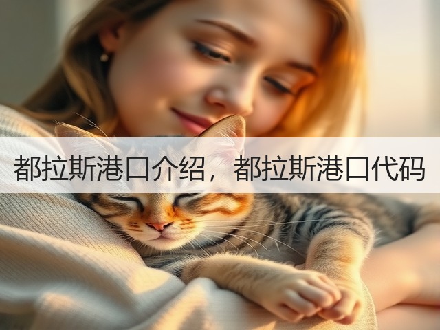 都拉斯港口介绍,都拉斯港口代码(图3) 都拉斯港口介绍,都拉斯港口代码(图3)