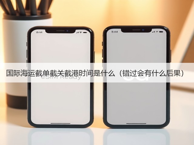 国际海运截单截关截港时间是什么(错过会有什么后果)(图1) 国际海运截单截关截港时间是什么(错过会有什么后果)(图1)