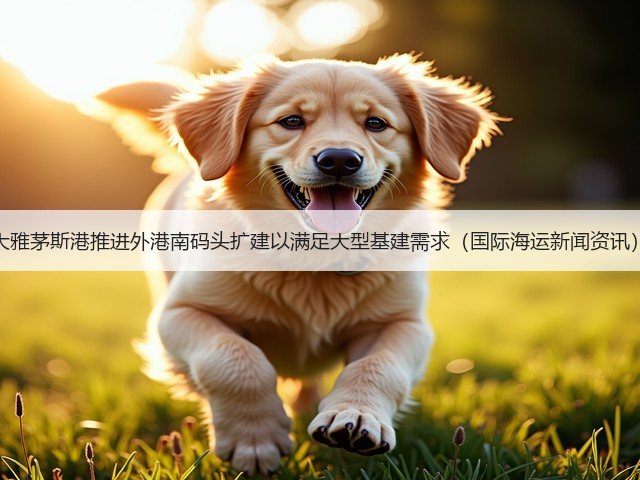 大雅茅斯港推进外港南码头扩建以满足大型基建需求（国际海运新闻资讯）(图3)