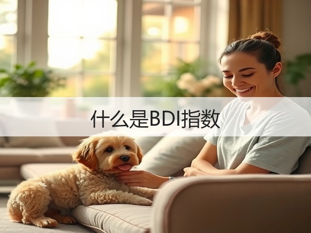 什么是BDI指数(图3)