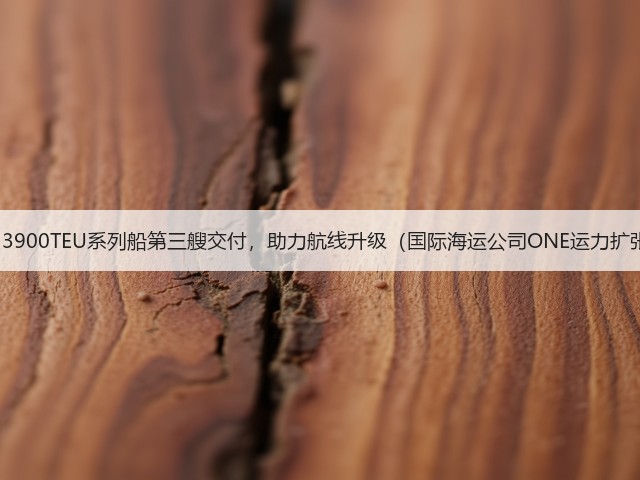 今治造船13900TEU系列船第三艘交付，助力航线升级（国际海运公司ONE运力扩张再提速）(图3)