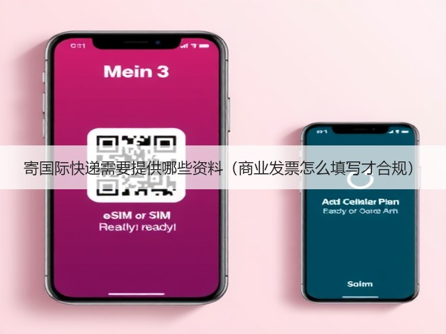 寄国际快递需要提供哪些资料(商业发票怎么填写才合规)(图2) 寄国际快递需要提供哪些资料(商业发票怎么填写才合规)(图2)