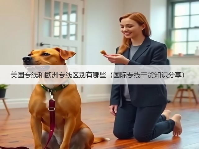 美国专线和欧洲专线区别有哪些(国际专线干货知识分享)(图3) 美国专线和欧洲专线区别有哪些(国际专线干货知识分享)(图3)