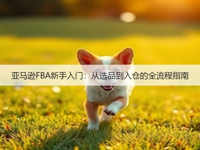 亚马逊FBA新手入门：从选品到入仓的全流程指南(图3)