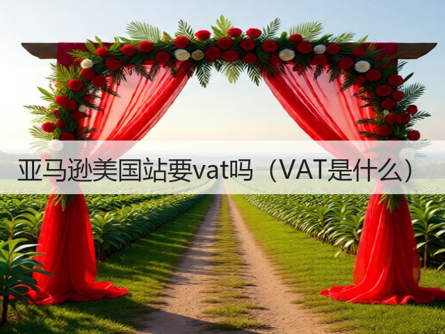 亚马逊美国站要vat吗(VAT是什么)(图3) 亚马逊美国站要vat吗(VAT是什么)(图3)