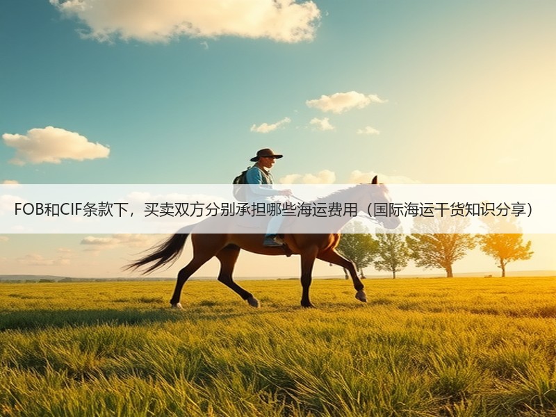 FOB和CIF条款下，买卖双方分别承担哪些海运费用（国际海运干货知识分享）