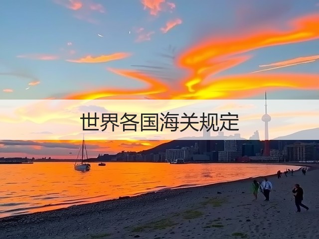 世界各国海关规定(图3)