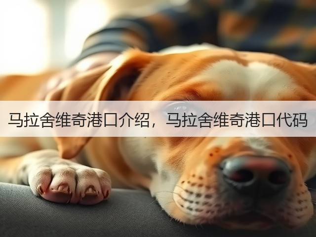 马拉舍维奇港口介绍，马拉舍维奇港口代码(图3)