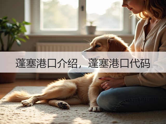蓬塞港口介绍,蓬塞港口代码(图3) 蓬塞港口介绍,蓬塞港口代码(图3)