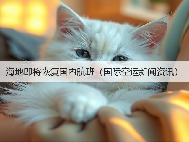 海地即将恢复国内航班（国际空运新闻资讯）(图3)