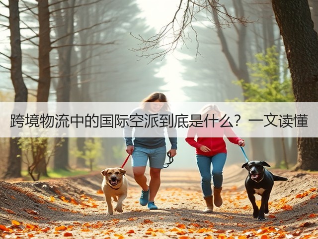 跨境物流中的国际空派到底是什么？一文读懂(图3)