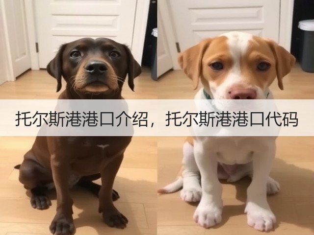 托尔斯港港口介绍,托尔斯港港口代码(图1) 托尔斯港港口介绍,托尔斯港港口代码(图1)