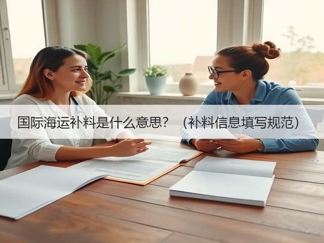 国际海运补料是什么意思?(补料信息填写规范)(图3) 国际海运补料是什么意思?(补料信息填写规范)(图3)
