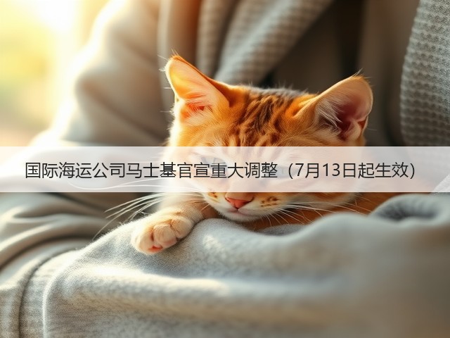 国际海运公司马士基官宣重大调整（7月13日起生效）(图3)