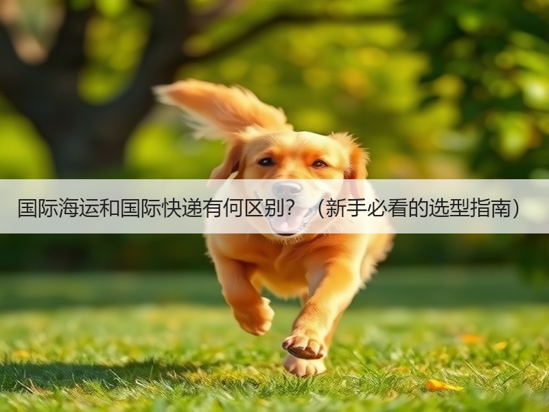 国际海运和国际快递有何区别？（新手必看的选型指南）