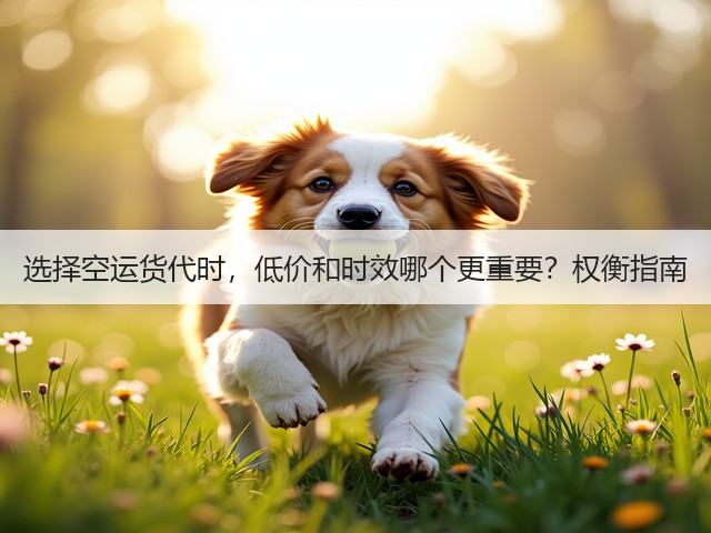 选择空运货代时,低价和时效哪个更重要?权衡指南(图2) 选择空运货代时,低价和时效哪个更重要?权衡指南(图2)